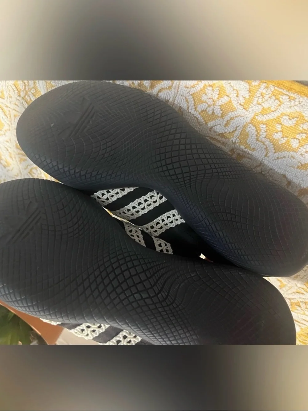 adidas wales bonner